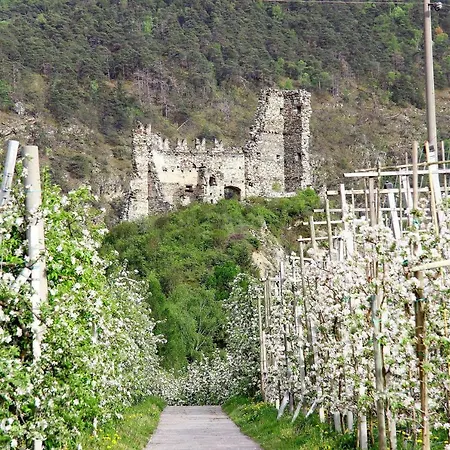 Hotel Montani 3*